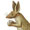 Der Capsche Springer
